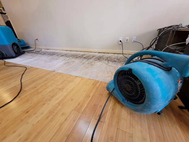 Professional Water Extraction technician working in Woodstock, GA